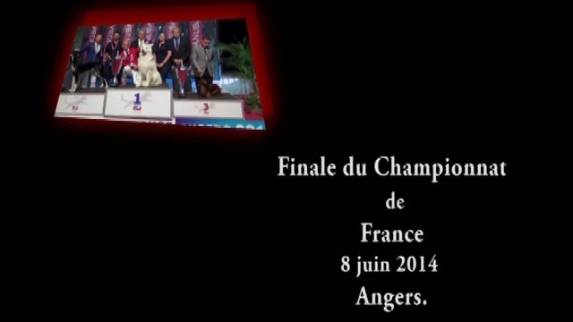 Finale du Championnat de France Angers.