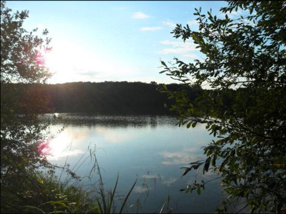 Les bords de seine - Belles images de paysages