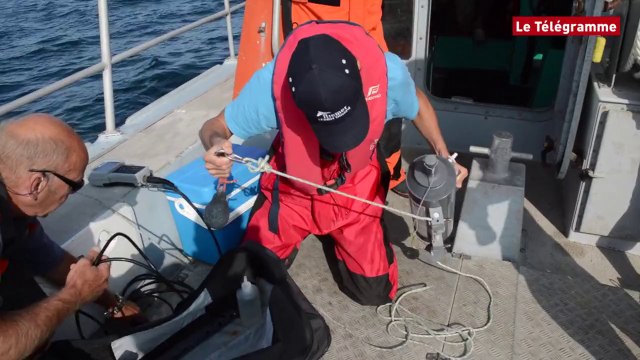 Baie de Lannion. Une matinée en bateau avec Ifremer