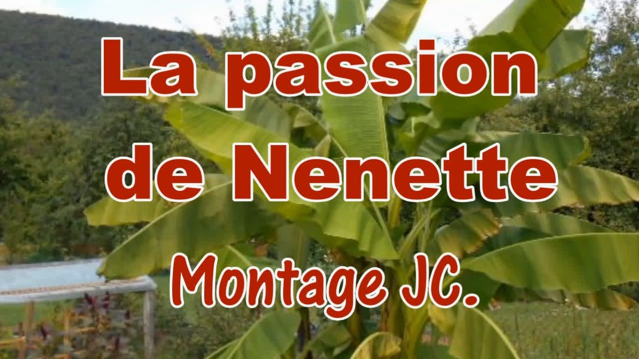La passion de nenette