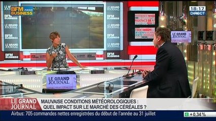 Michel Portier, directeur d'Agritel, dans Le Grand Journal - 04/08 1/7