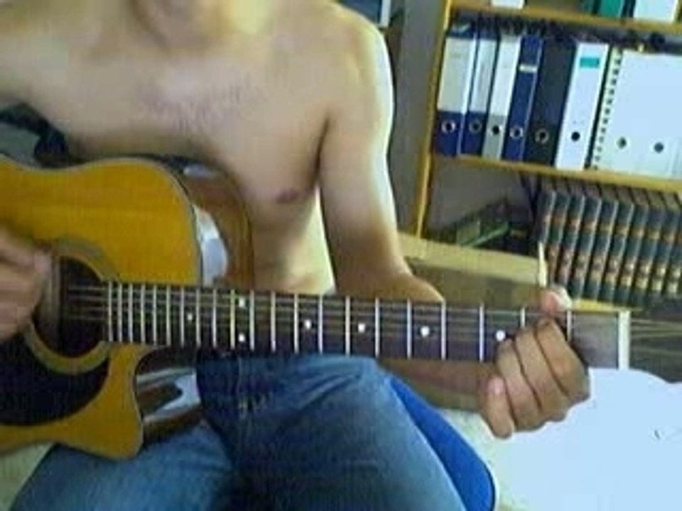de palmas dans la cour
