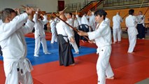 Aïkido traditionnel à Vierzon (18) avec Alain Peyrache Shihan