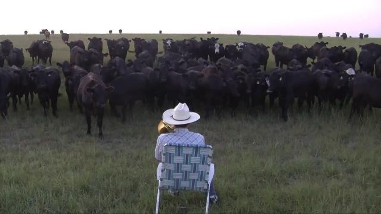 Farmer Summons Cattle by Playing Lorde's 'Royals' on Trombone