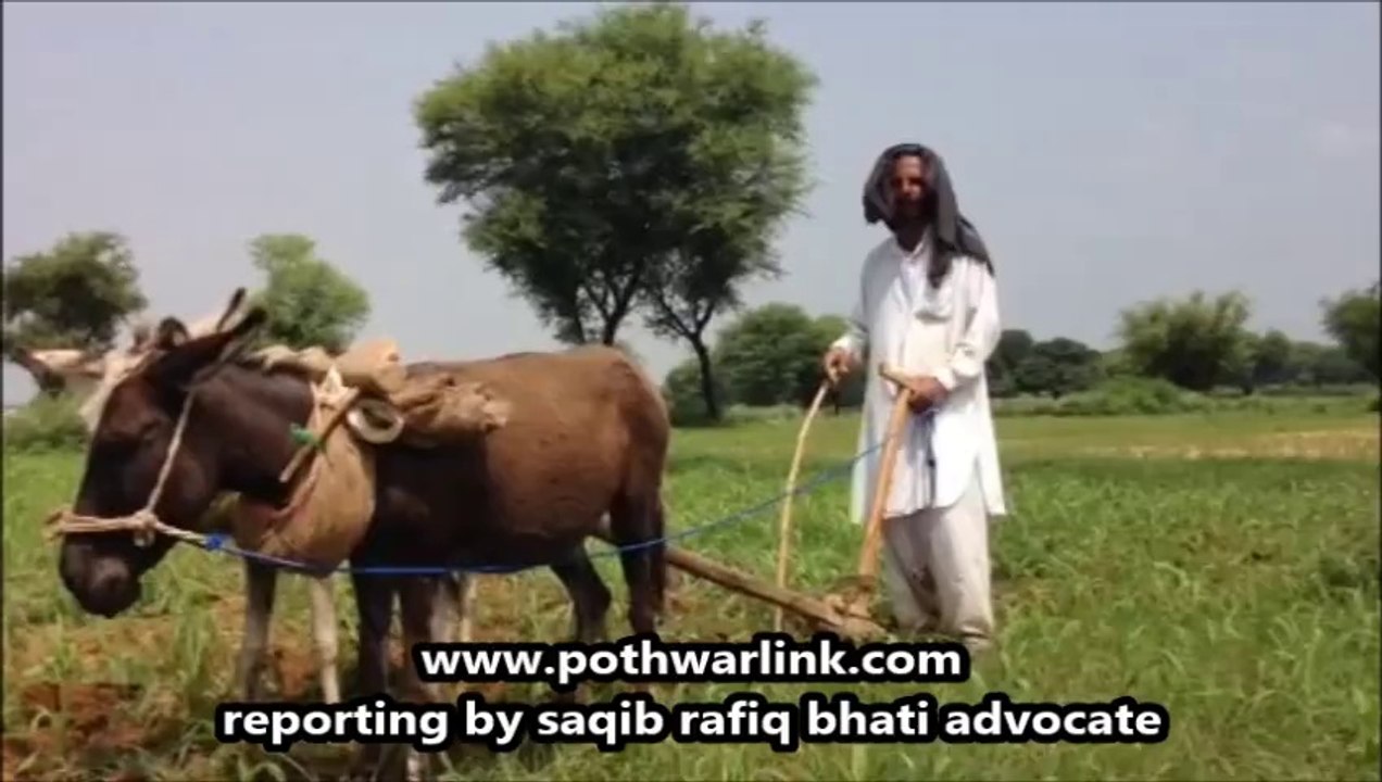Rwaiti treeqy say mkai ki godi