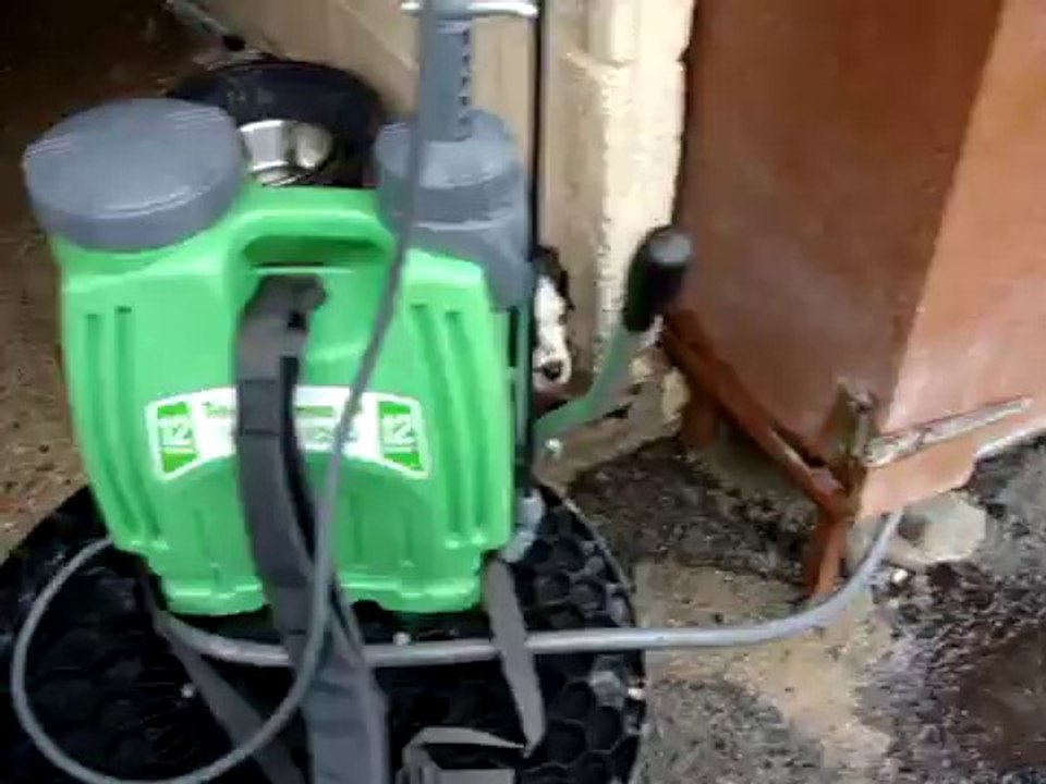 TEQUILA HAITI ET PRINCE PREMEIRE SORTIE LE 3 FEVRIER 2010