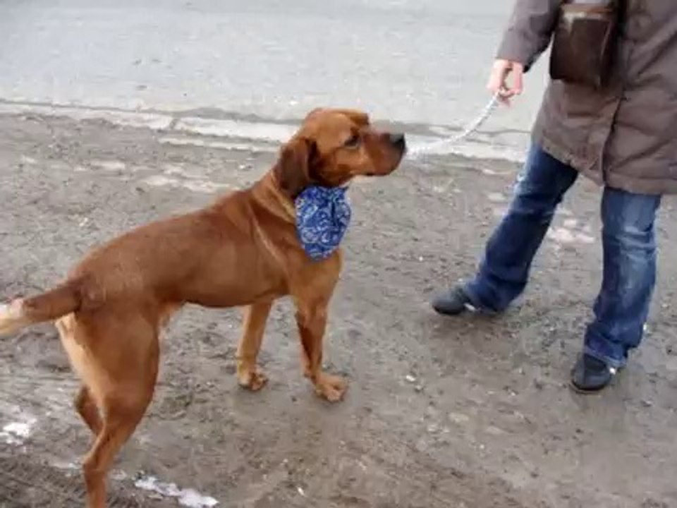VISITE DE SULTAN AVEC SES NOUVEAUX MAITRES LE 14 FEVRIER 2010