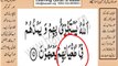002v12-16  Very Simple. 3Ls. Listen, look & learn word by word urdu translation of Quran in the easiest possible method. Surah #2, Al Baqarah,  12-16 Verses sheikh imranfaiz&amila imran faiz