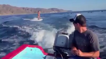 Yunus Balıklarıyla Su Kayağı Yapmak