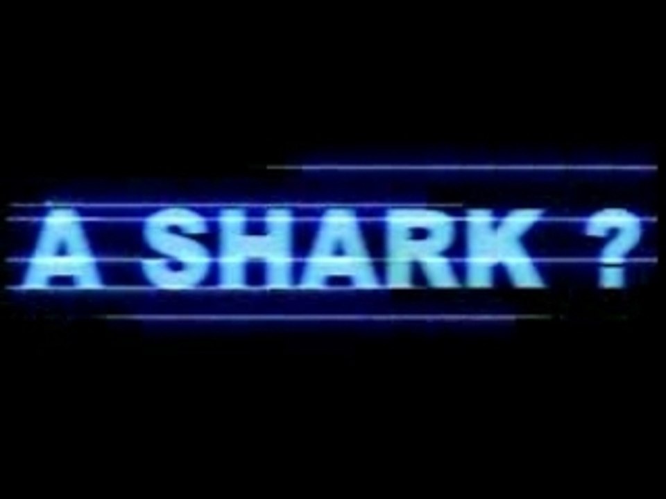 The SharkTeam