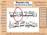 002v71-72 verses  baqarah mp4 Very Simple Listen, look & learn word by word urdu translation of Quran in the easiest possible method bayaan.Quran sheikh imran faiz eidt by anila imran faiz