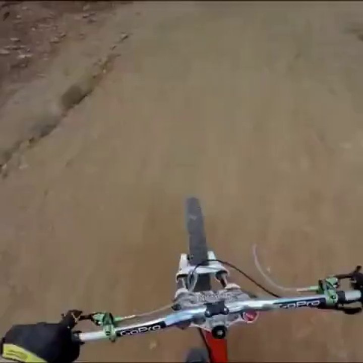 Vista en 360