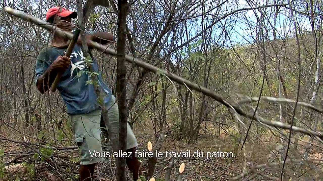 Bande-annonce : Hautes Terres - VOST