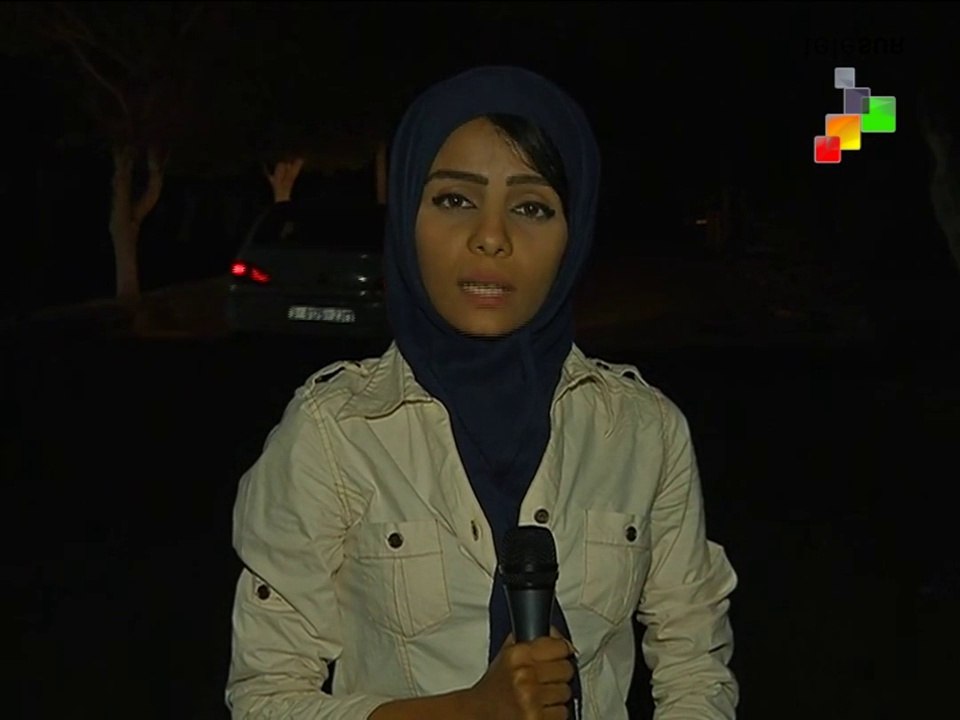 Gaza Update: Evening