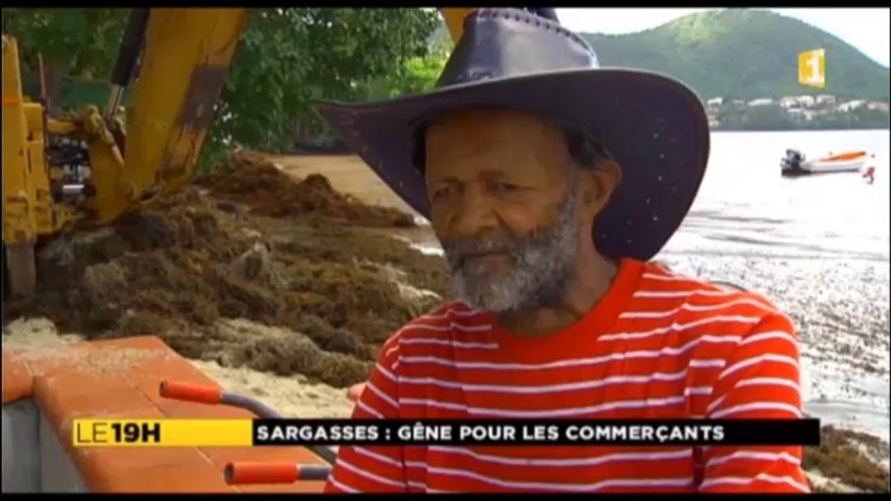 Enlèvement algues sargasses