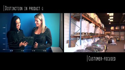 Metallon LLC.: Precious Metals for the Automotive Industry