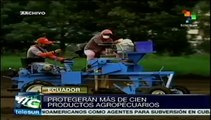 Más de 100 productos agropecuarios ecuatorianos serán protegidos