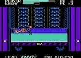 Mighty Final Fight (NES) - Review