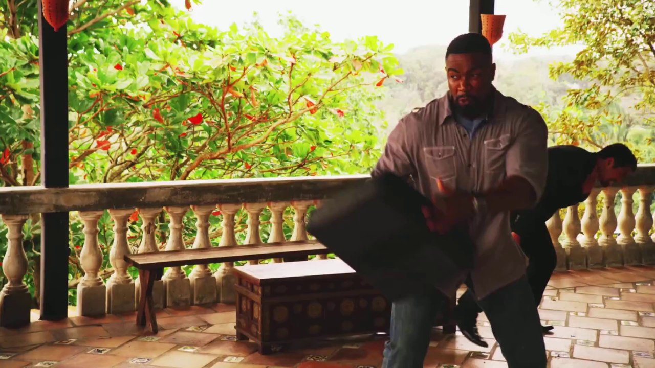 Falcon Rising