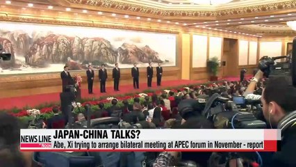 Japan, China aiming to arrange meeting at APEC forum in November - report