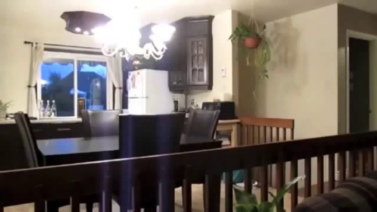 Funny Videos - Fail Compilation, Funny Pranks and Funny Cats Videos _ New Funny Video(50)