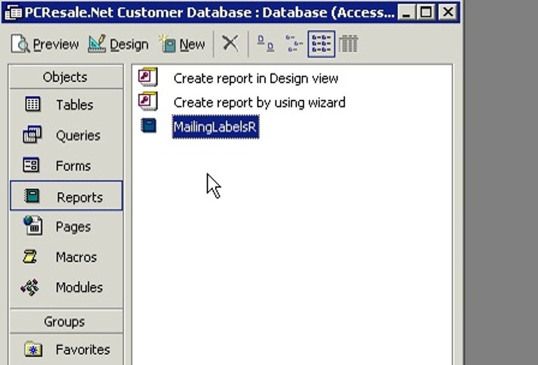 Microsoft Access 13-MailingLabels