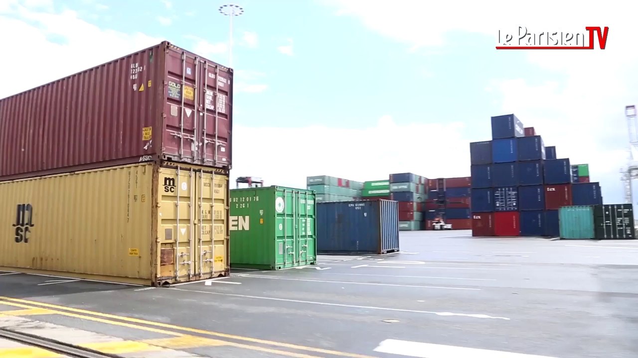 Drogues et contrefaçons avec les douaniers du Havre