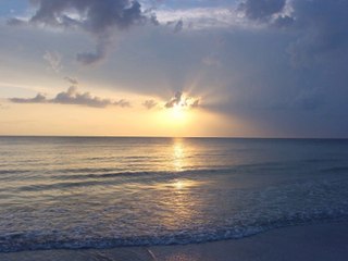 Danny Sawrij | The Value in Processing Animal By-Products