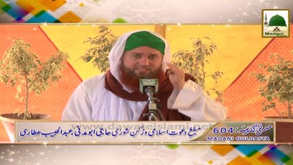 Madani Guldasta 604 - Pulsiraat ka Safar