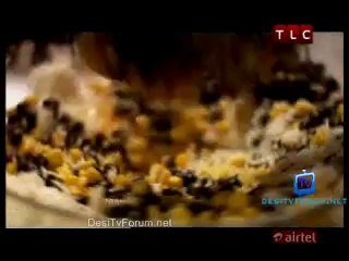 Nigella Kitchen 5th August 2014 Video Watch Online pt4