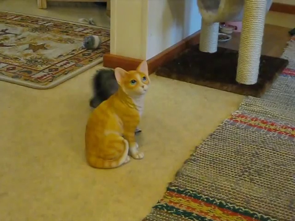 Beast cat - wegschmeiss.de