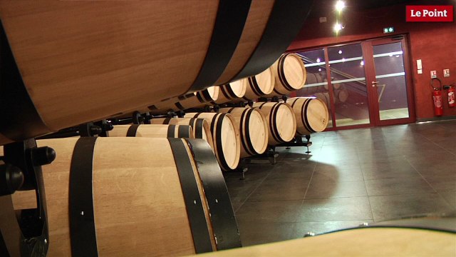 La Dominique : un chai qui sert d'outil de communication