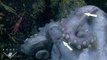 Une pieuvre des grands fonds (deep sea octopus) couve ses œufs pendant plus de 4 ans! Record!