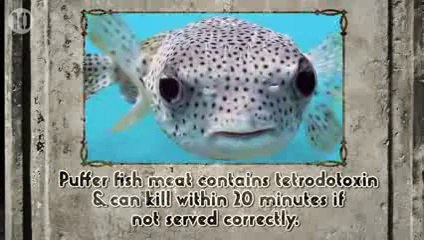 10 Things That Will Kill You in Under An Hour