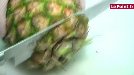 L'ananas a la peau douce pour l'aigre-doux