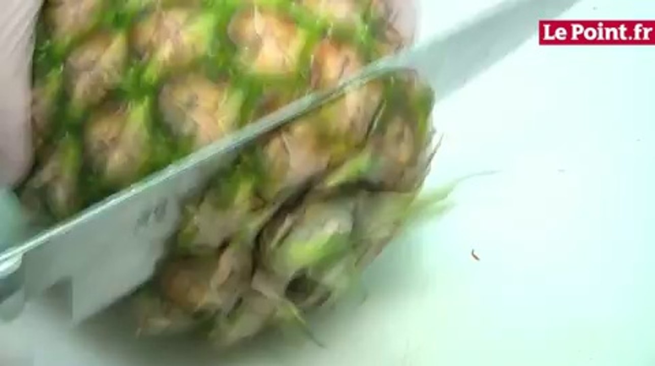L'ananas a la peau douce pour l'aigre-doux