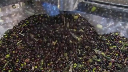 Nasıl Yapılır | Zeytin Yağı