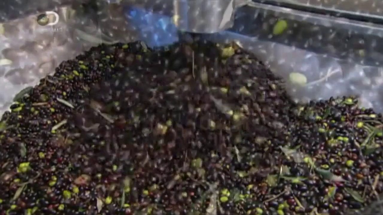 Nasıl Yapılır | Zeytin Yağı