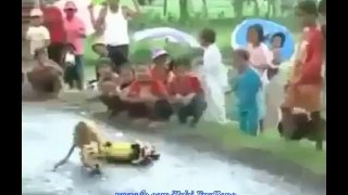 Incredible Monkey Drives Bike While Also Doing Naughty