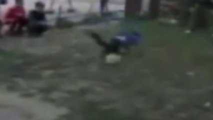 Comment piéger un enfant ? Remplir un ballon de pierres !