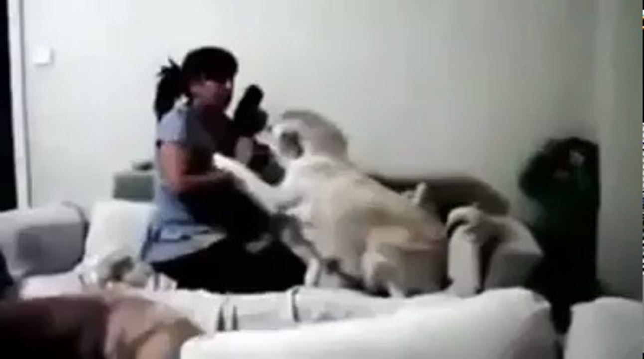 KÖPEĞİN ÇOCUĞU KORUMA ÇABALARI