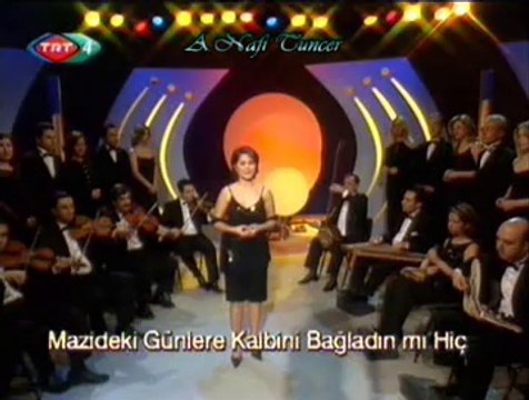 Lida ÇAKI-Bir İlkbahar Sabahı Güneşle Uynadın Mı Hiç