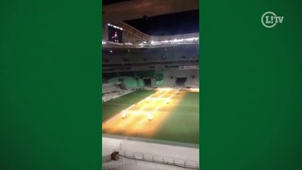 Allianz Parque tem teste de som e luz 'com torcida'