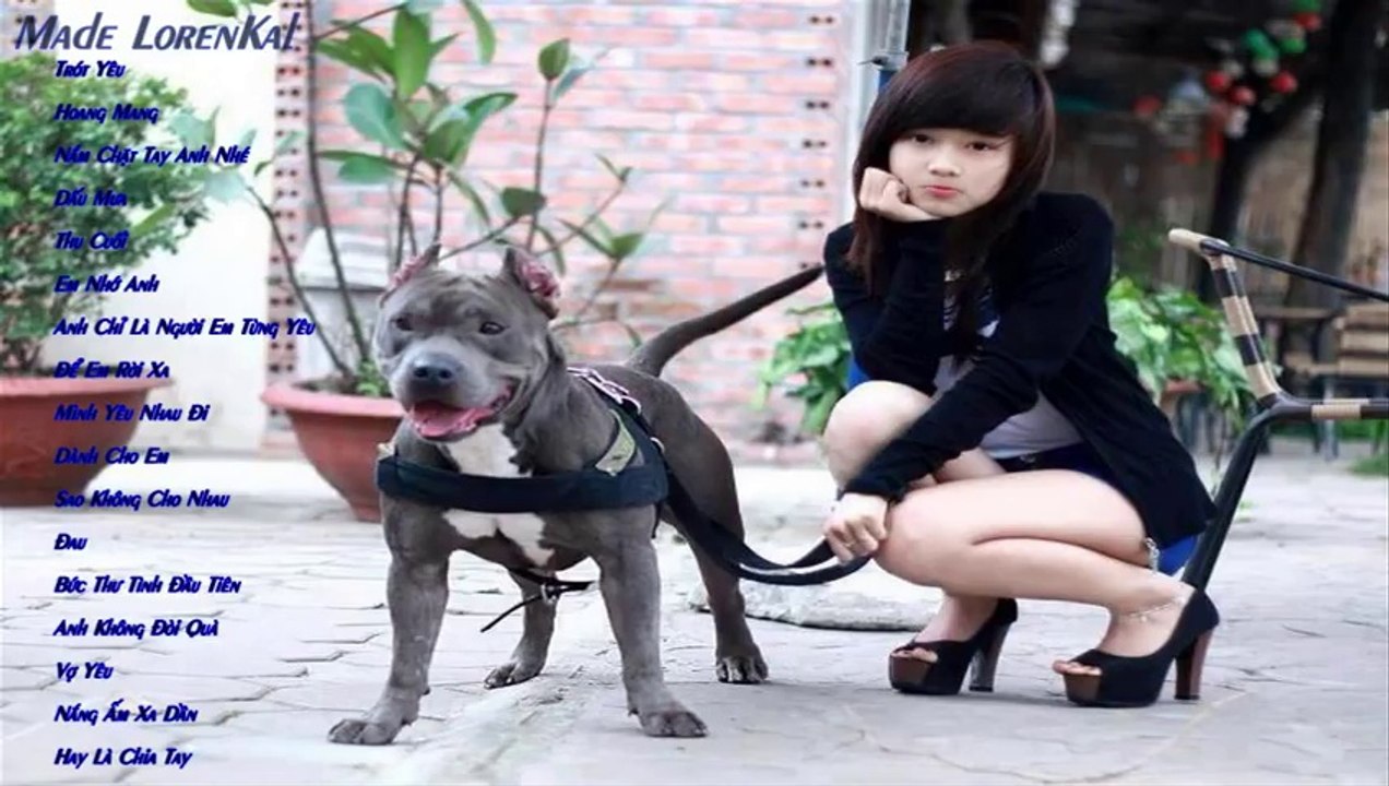 Liên Khúc Nhạc Trẻ Remix Việt Mix Hay Nhất 2014 - 2015