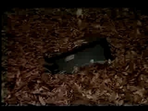 Malice Mizer- Au Roir