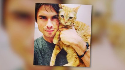 Man Crush Monday- Ian Somerhalder