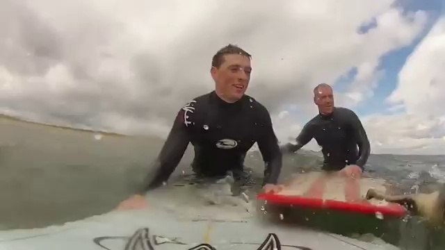 Un bébé phoque s'incruste dans une session de surf
