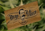 Marijuana Startup Diego Pellicer Weighs In On Cannabis Oil