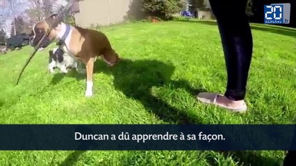 Un chien à deux pattes nouvelle égérie de GoPro