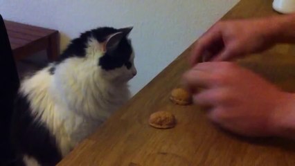 Alors ? Où est la boule ?